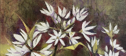 Wild Garlic, Hampshire | 2020 | Oil on Canvas | 52 x 50 cm